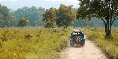 Safari Experience in Ranthambore